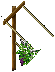 Grapevines east 1.png