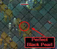 Perfect Black Pearl.png